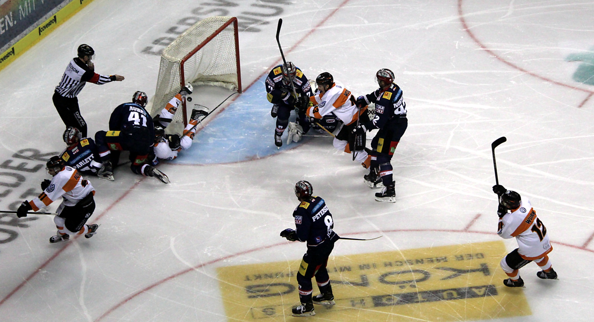 Eisbären besser als die Grizzlys