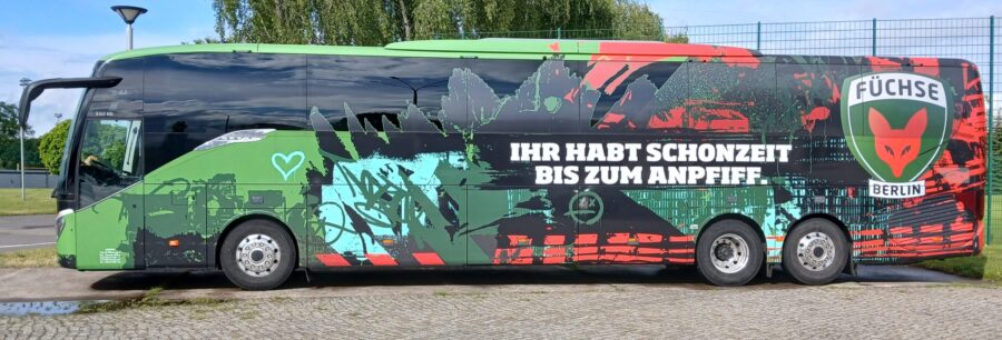 Diese Füchse sind nicht zu stoppen